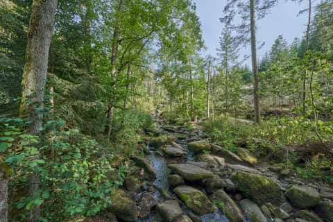 Gemeinde Waldkirchen Landkreis Freyung-Grafenau Saußbachklamm (Dirschl Johann) Deutschland FRG